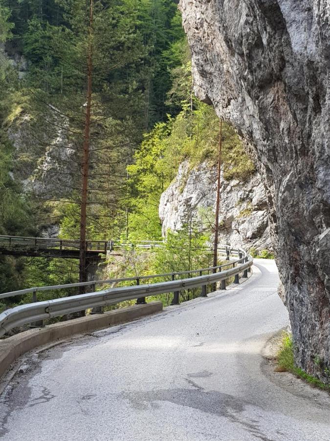 Pension Gut Trogern バート・アイゼンカッペル エクステリア 写真