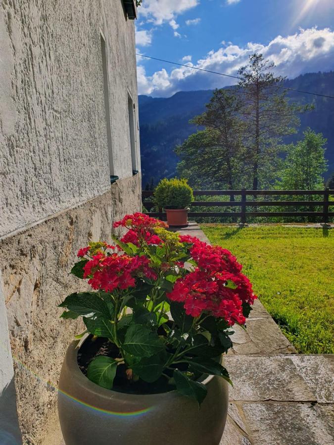 Pension Gut Trogern バート・アイゼンカッペル エクステリア 写真