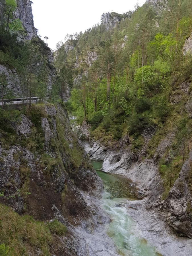 Pension Gut Trogern バート・アイゼンカッペル エクステリア 写真